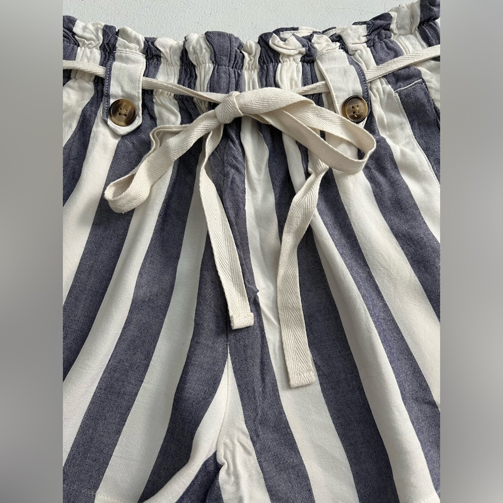 American Eagle Blue/White Vertical Striped Shorts, Size S - Picture 4 of 11